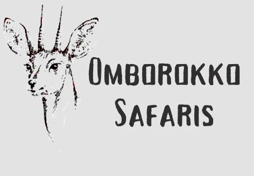 Omborokko Safaris website